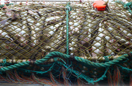 Skjermbilde 2025 03 28 Kl. 10.36.10